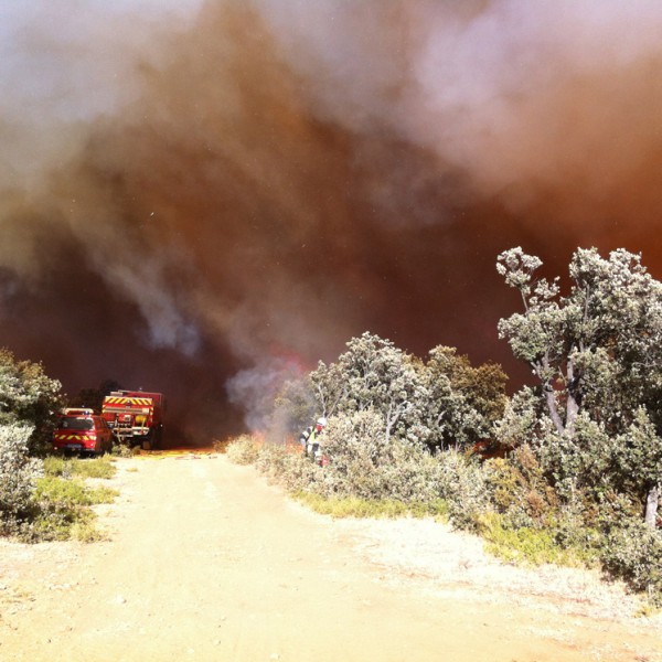 Intervention feu de forêt