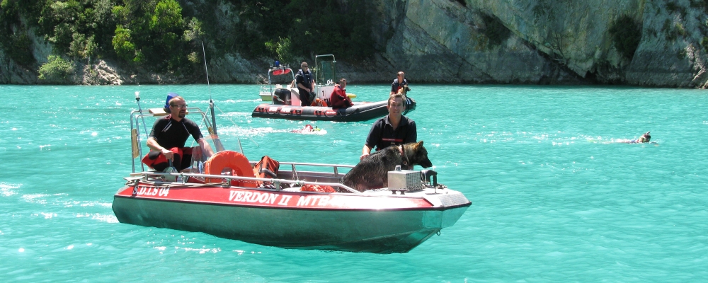 Verdon